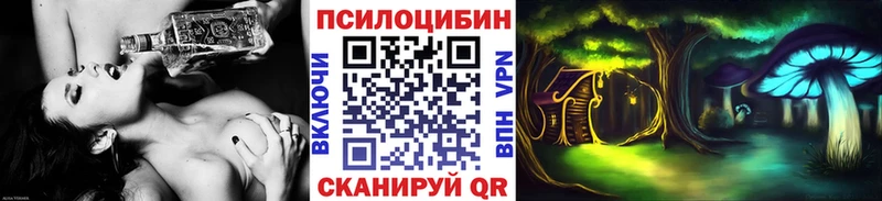 Галлюциногенные грибы Psilocybe  Купить где  Обнинск 
