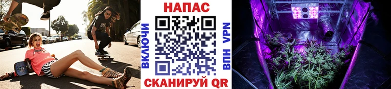 Купить закладки  Обнинск  Бошки Шишки LSD WEED 